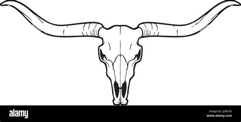 Longhorn head skull (bull or cow icon). Vector illustration Stock ...