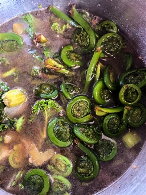 Cream Of Fiddlehead Soup - Cooking With Books