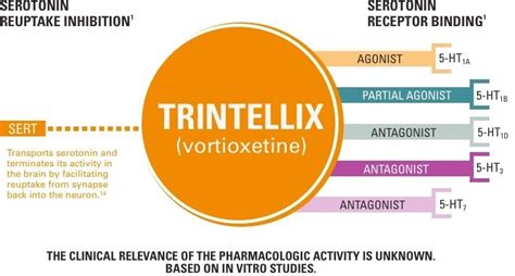 Mechanism of Action (MOA) | TRINTELLIX (vortioxetine)