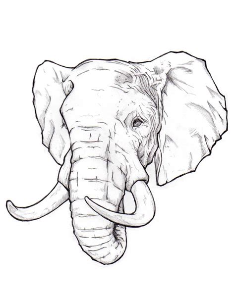 View Drawing Of An Elephant Gif - Shiyuyem