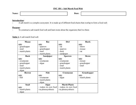 ELA #6 (Salt Marsh Food Web) - SNC 1D1 – Salt Marsh Food Web Name: Date ...