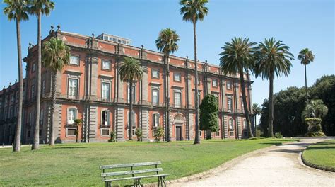 Capodimonte Museum (Museo di Capodimonte) - Lifestyle - Napoli