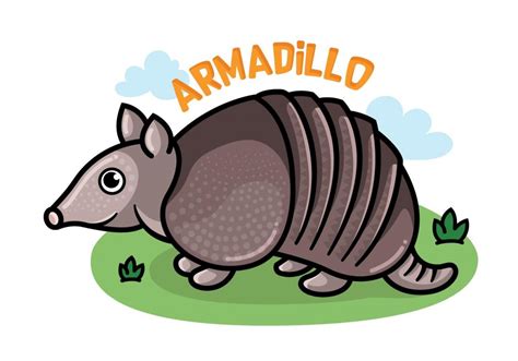 armadillo vector clipart 10 free Cliparts | Download images on ...