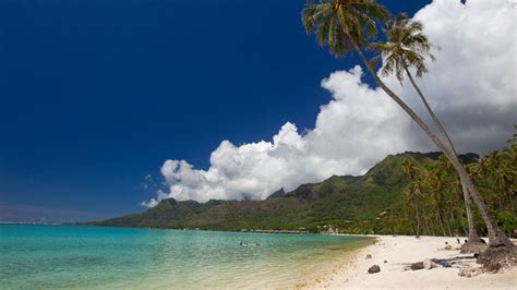 6 Best beaches in Moorea island, French Polynesia - Ultimate guide ...