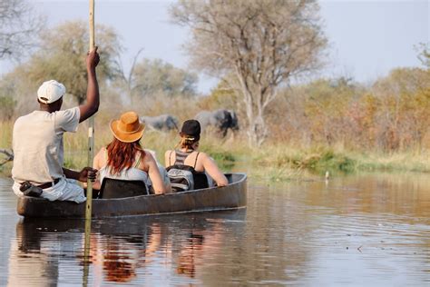 Mokoro safari in the Okavango Delta | Timbuktu Travel