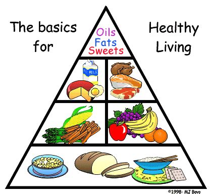 The Bloggest Loser: From Food Groups to MyPlate