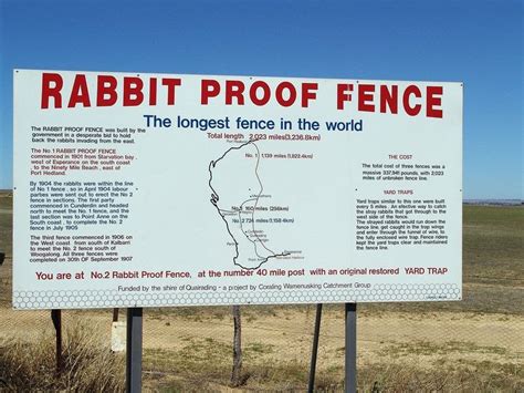 Study guide: Rabbit-Proof Fence | ACMI: Your museum of screen culture