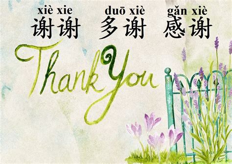 different ways to say thank you in Chinese #chineseexpressions # ...