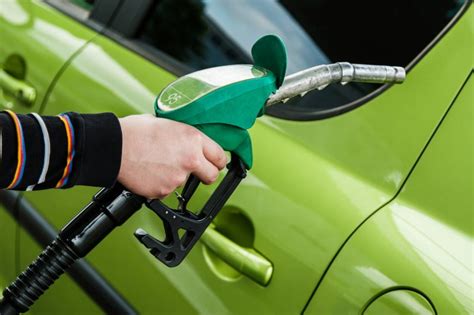 Are biofuel vehicles a more sustainable alternative to electric battery ...