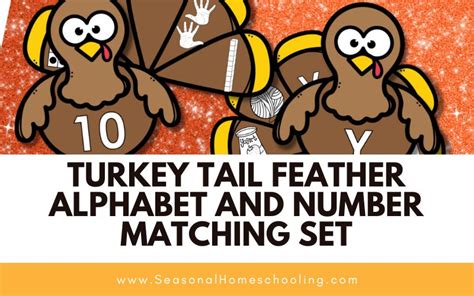 Turkey Tail Feather Alphabet and Number Matching Set