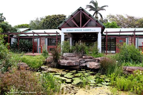 Durban Botanic Gardens: Afternoon Delight | Janet Davis Explores Colour