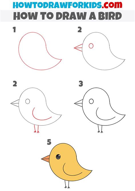 How to draw a bird for kindergarten – Artofit