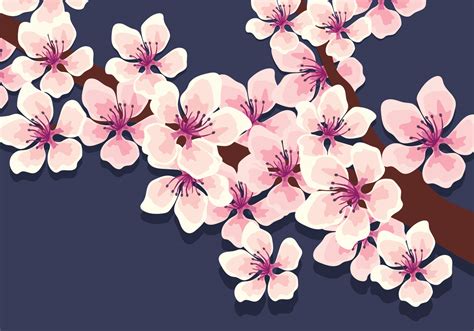 Cherry Blossoms Vector 268609 Vector Art at Vecteezy