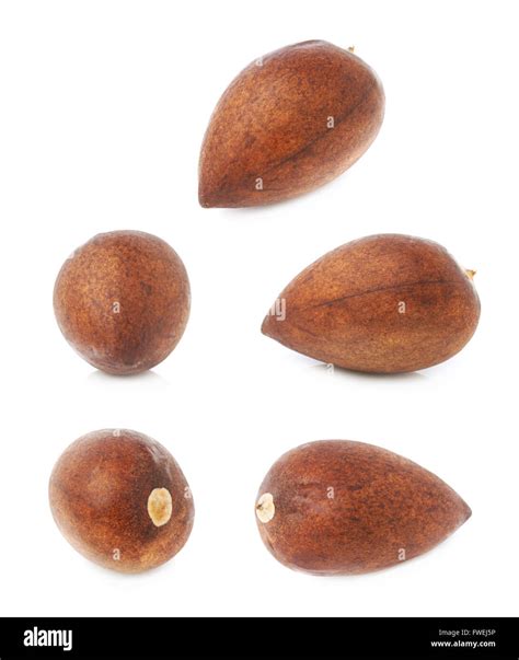 Avocado pit seed isolated Stock Photo - Alamy