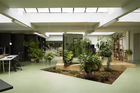 Four ways to build a green office | Interior garden, Indoor gardens ...