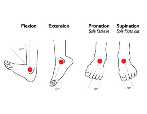 Ankle Injury Recovery Time Reduced By Advanced Methods