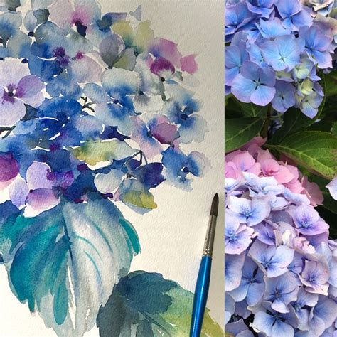 Helen Hallam Watercolour Hydrangea | Hortensias, Flores, Arte