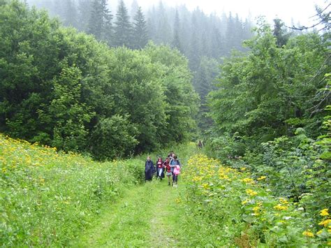 [Bosnia-Herzegovina] - nature scenes | Page 2 | SkyscraperCity Forum