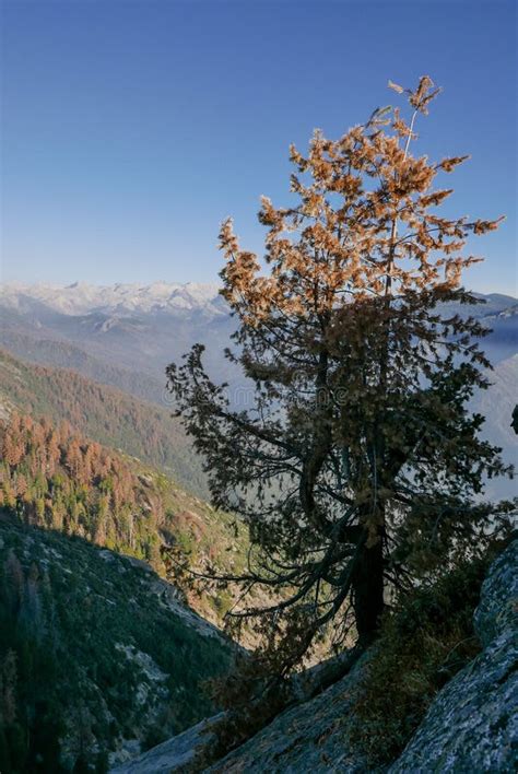 Moro Rock is a Granite Dome Rock Formation in Sequoia National Park ...