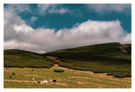 Hiking in the Carpathian Mountains: September edition | Behance :: Behance