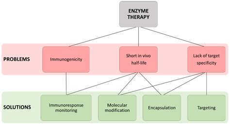 IJMS | Free Full-Text | Enzyme Therapy: Current Challenges and Future ...