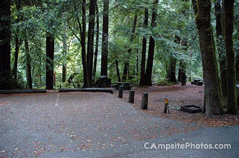 Portola Redwoods State Park - Campsite Photos, Campsite Availability