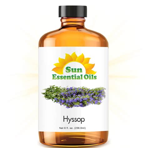 Hyssop Essential Oil (Huge 8oz Bottle) Bulk Hyssop Oil - 8 Ounce ...