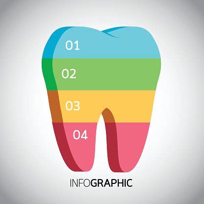 Tooth Info Graphic Design, Stock Clipart | Royalty-Free | FreeImages