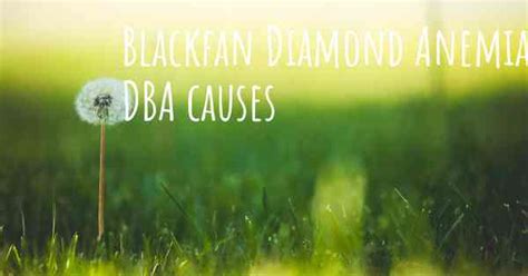 Which are the causes of Blackfan Diamond Anemia DBA?