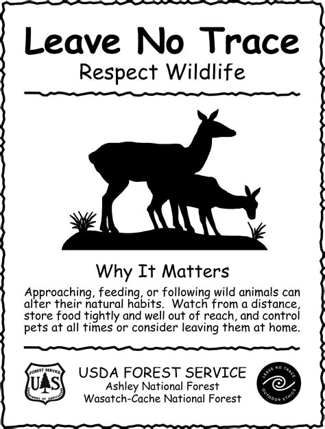 Download Poster on wildlife preservation and protection – Printable ...