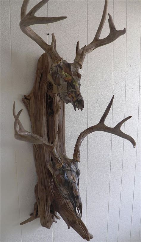 european mount on barnwood | Deer hunting decor, Deer antler decor ...