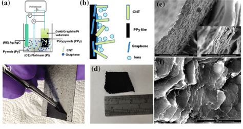 a Schematic representing the fabrication process of the nanocomposite ...