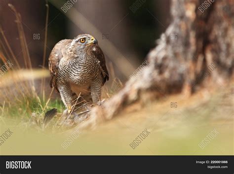 Beautiful Nature Czech Image & Photo (Free Trial) | Bigstock