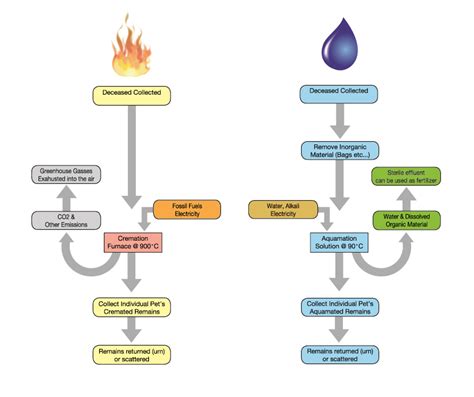 Aquamation - All About The Process