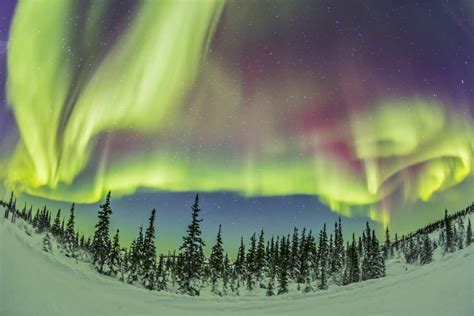 Look up: Western Washington could get a rare glimpse of the aurora ...