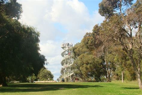 Kings Park's much-loved DNA tower to reopen after refresh - ABC News