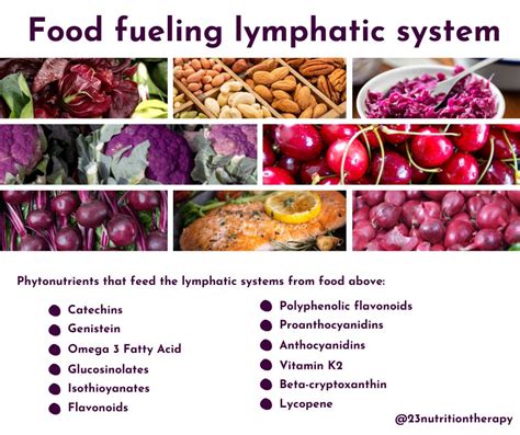 Lymphatic System: Your Ultimate Boosting and Cleansing Guide -23 ...