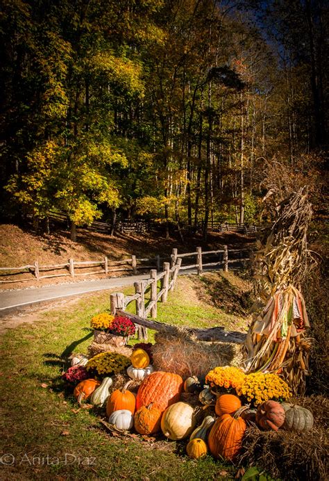 Appalachian Fall - Whispering Pines Homestead