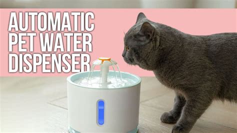 5 Best Automatic Pet Water Dispenser For All Pets - YouTube