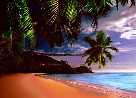 Tropical Beach Paradise Island Wallpapers - Wallpaper Cave