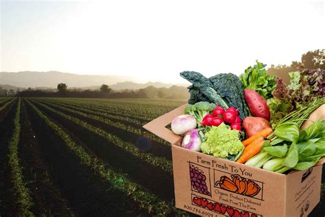 farm field and box package | Farm fresh to you, Farm fresh, Organic ...