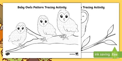 Baby Owls Pattern Tracing Activity (teacher made)