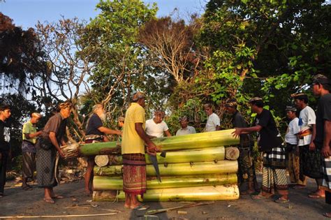 Prepare a Procession of Ngaben Editorial Image - Image of sanur, hindus ...