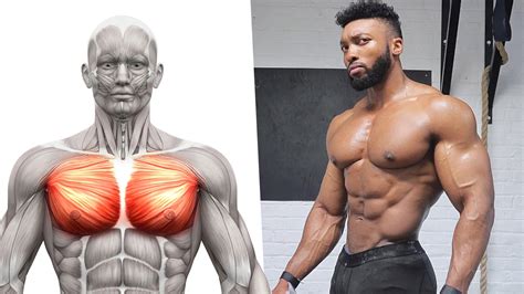 7 Best Exercises for a Good Looking and Strong Chest | BOXROX