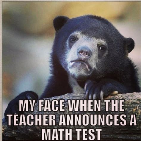 45 Funny Math Memes We Can All Relate To | SayingImages.com