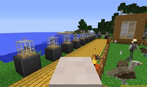 Exotic Birds Mod-6 - World Minecraft