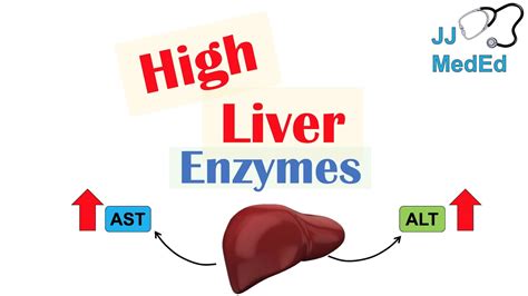 High Ast And Alt / Elevated Liver Enzymes: Causes and Symptoms | IYTmed ...