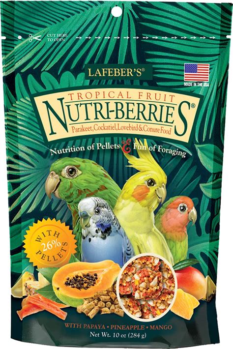 Best Healthy Treats for Your Parrot - With an Amazon Shopping list ...