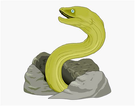 Eel Clipart Free Clipart Images - Green Moray Eel Drawing, HD Png ...