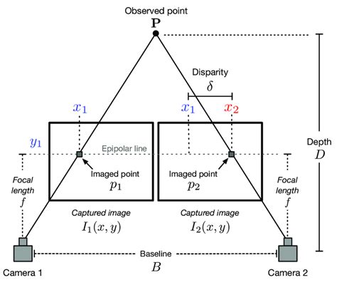 Description of a stereo imaging setup. | Download Scientific Diagram